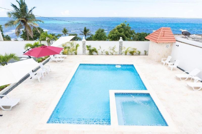 La gaviota paradise