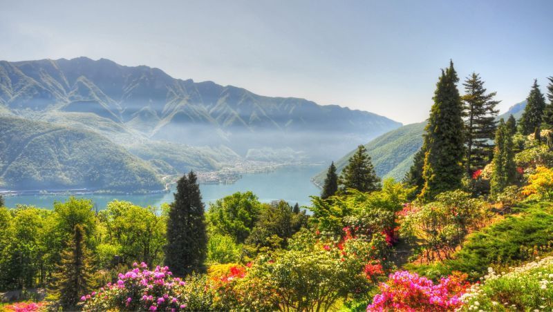 Garden Mountain