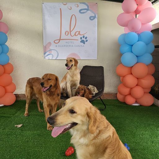 Lolita Hotel & Guardería Canina SRL