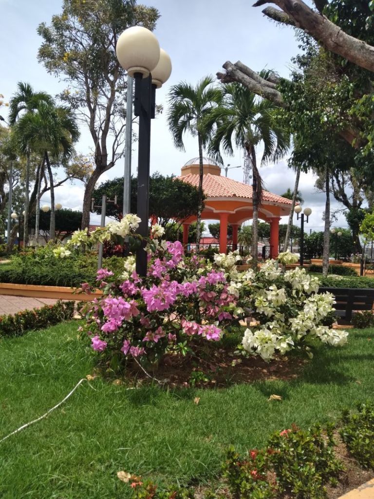 Monte Plata